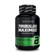 Tribulus Maximus 90 Tabletas - Biotech Usa