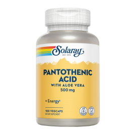 Pantothenic Acid 500mg 100...