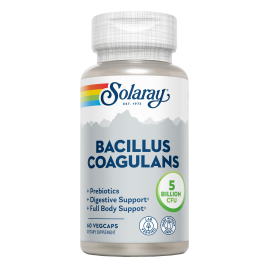 Bacillus Coagulans 60 VegCaps - Solaray