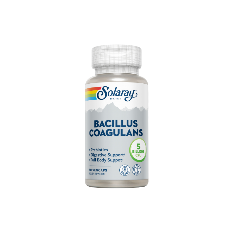 Bacillus Coagulans 60 VegCaps - Solaray