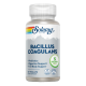 Bacillus Coagulans 60 VegCaps - Solaray