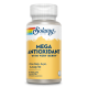 Mega-Multi Antioxidant 60 VegCaps - Solaray