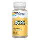 Adrenal Success™ 60 VegCaps - Solaray