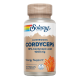 Cordyceps Ext. 60 VegCaps - Solaray