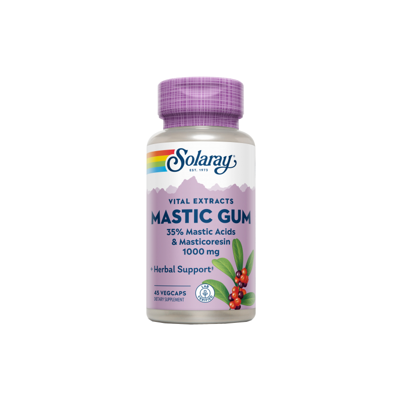 Mastic Gum 1kg 45 VegCaps - Solaray