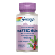 Mastic Gum 1kg 45 VegCaps - Solaray