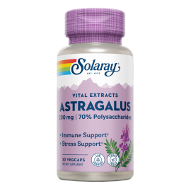 Astragalus 200mg 30 VegCaps...