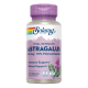 Astragalus 200mg 30 VegCaps - Solaray