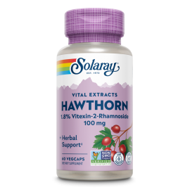 Hawthorn Extract 100mg 60...