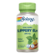 Slippery Elm Bark 400mg 100 VegCaps - Solaray