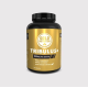 Tribulus+ 60 Tabletas - Gold Nutrition