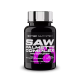 Saw Palmetto Complex 60 Cápsulas - Scitec Nutrition