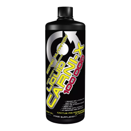 Liquid Carni-X 100.000 0,5L...