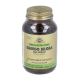 Ginkgo Biloba Extracto de Hoja 60 VegCaps - Solgar